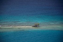 Trying to survive on Aruba by Frank's Awesome Travels