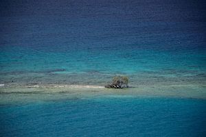Der Versuch, auf Aruba zu überleben