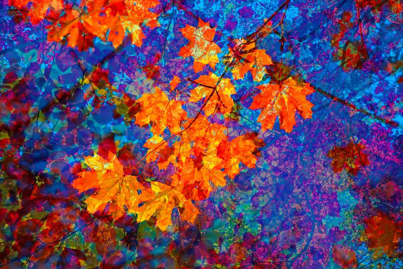 Golden October by Thomas Jäger