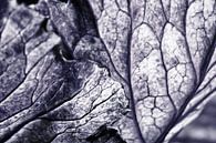 Genarbte Blätter von Henriëtte Mosselman Miniaturansicht