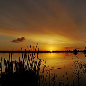 Kleurrijke zonsopkomst in een Hollands landschap van G. de Wit
