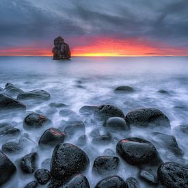 Soft Coast, Iceland by FineArt Prints | Zwerger-Schoner |