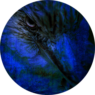 Blue Kookaburra van Xenia Blair