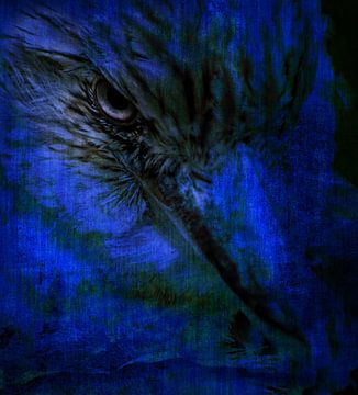 Blue Kookaburra by Xenia Blair