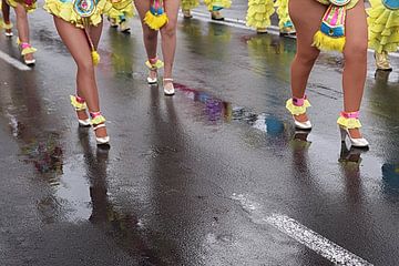 Carnaval sur Henk Langerak