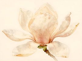 Magnolia blossom in soft earth tones by Kristin M