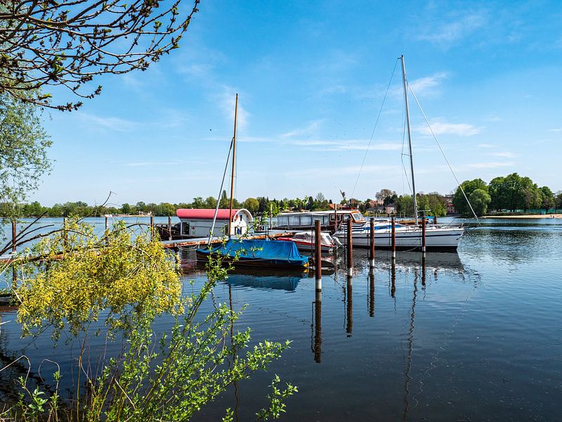 Hafen mit Boote in Werder an der Havel von Animaflora PicsStock