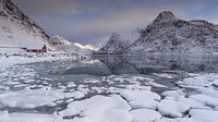 Flakstad Fjord (Lofoten) van Sven Broeckx thumbnail