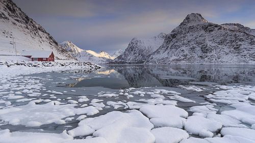 Flakstad Fjord (Lofoten)