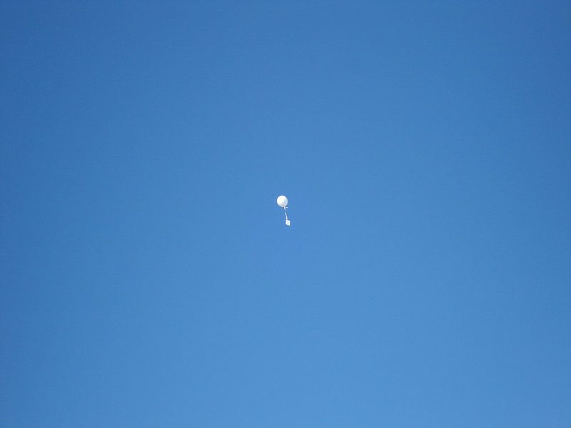 Balloon by Elsemieke Afman