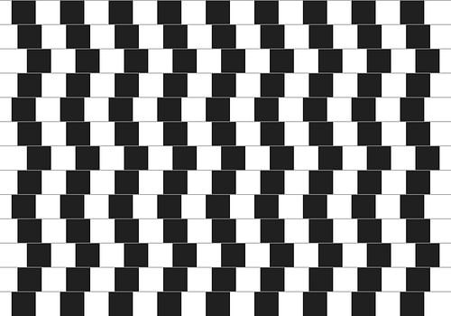 Optical illusion café wall