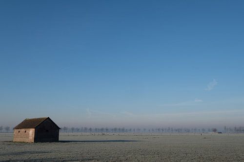 Schhur in weiland