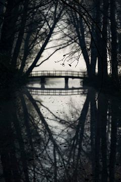 Monochrome reflecties in de herfst.