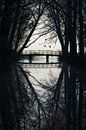 Monochrome reflecties in de herfst. van Raoul Baart thumbnail