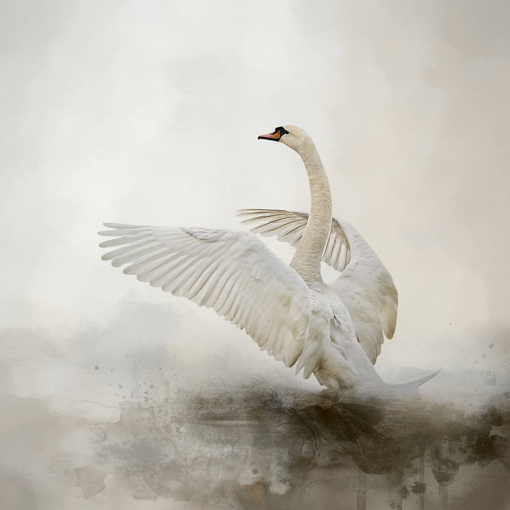 Mute Swan In Abstract Water Landscape Painting by <span class="secondary-font">Diana van Tankeren</span>