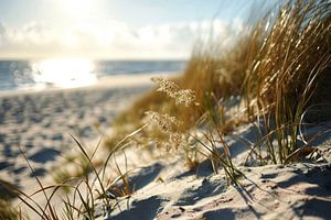 Strandlicht