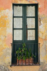 Deur zonder uitgang van Frank's Awesome Travels