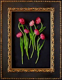 Still life with tulips