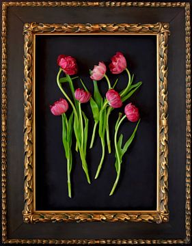 Stillleben mit Tulpen von Thomas Jäger