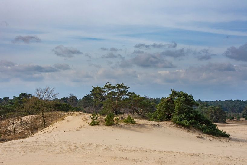 Hulshorsterzand by Margreet Frowijn