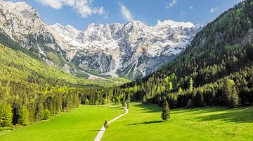 Luftaufnahme des Tals von Zgornje Jezersko im Frühling von Sjoerd van der Wal Fotografie