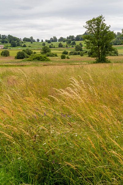 Idyllic cultural landscape by Achim Prill