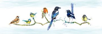 Colourful Garden Birds On Branch by Atelier DT