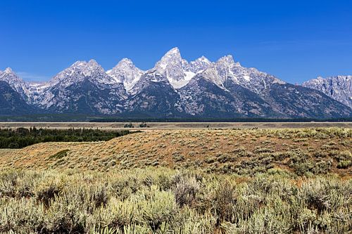 Grand Teton National Park, Wyoming, VS