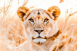 Löwenblick im Gras von Poster Art Shop