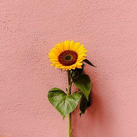 Sunflower by HelloHappylife