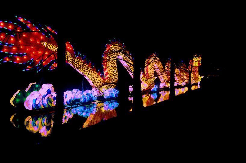 Chinese draak van licht by Damian  Dekker