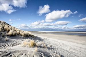 Ameland von Andre Struik