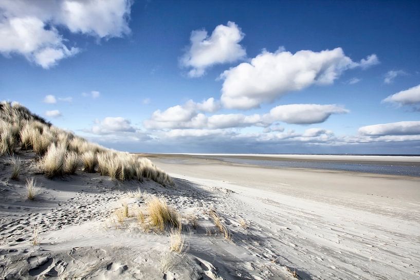 Ameland van Andre Struik