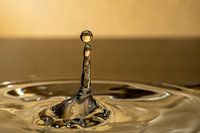 Balanceakt nim Wasser