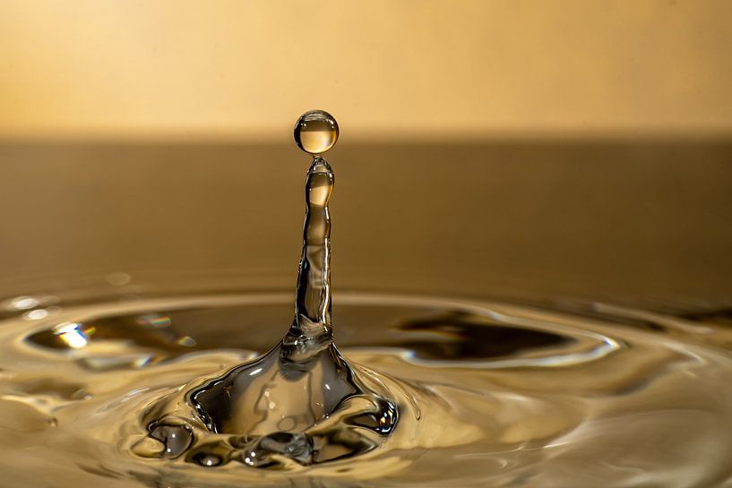 Balanceakt nim Wasser von Thomas Riess
