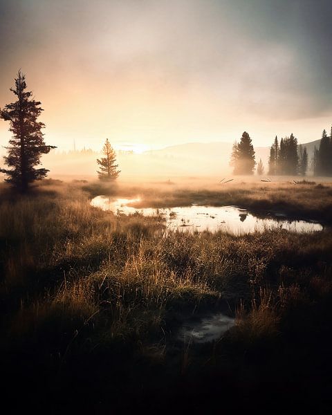 Herbst in Lappland von fernlichtsicht