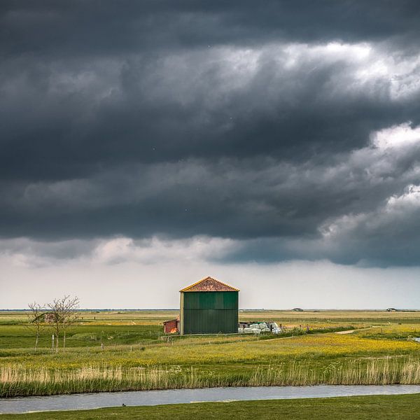 Scheune im Workumer Waard bei stark bewölktem Himmel von Harrie Muis
