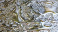 Wasser