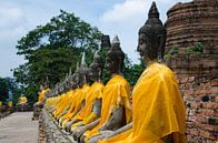 Boeddha's op een rij gekleed in een goudkleurig gewaad par Maurice Verschuur Aperçu