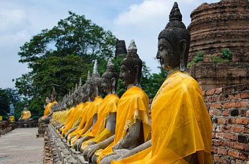 Boeddha's op een rij gekleed in een goudkleurig gewaad