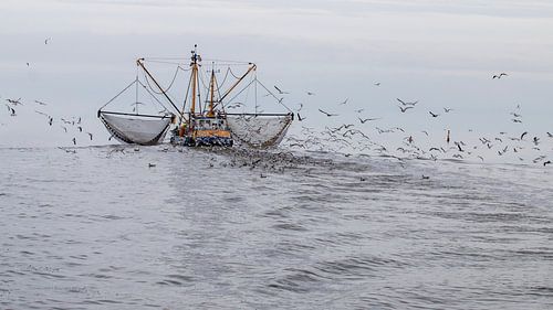 Der Krabbenfischer auf dem Wattenmeer