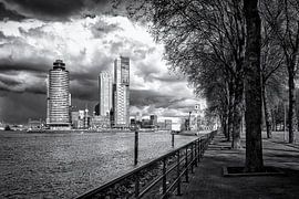 View of Wilhelminapier from Katendrecht - Rotterdam by Paysages urbains - Rick Van der Poorten Photography