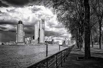 Blik op de Wilhelminapier vanuit Katendrecht - Rotterdam van Stedelijke landschappen - Rick Van der Poorten Fotografie