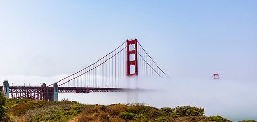 Golden Gate Mist
