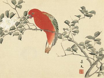 Roter Papagei auf Zweig mit weißen Blüten, Matsumura Keibun - 1892