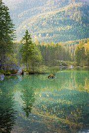 Frühling am Hintersee von Martin Wasilewski