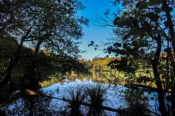 Hertasee im Nationalpark Jasmund von GH Foto & Artdesign