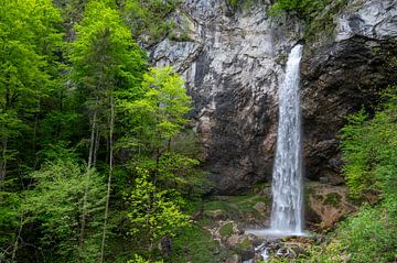 Wildensteiner Wasserfall in Oostenrijk in de lente