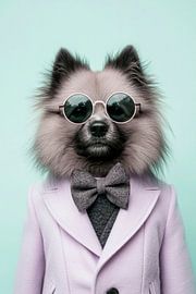 Keeshond by Poster Art Shop