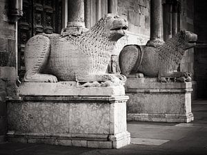 Photographie en noir et blanc : La Cathédrale de Parme